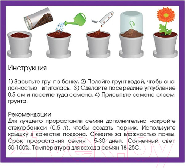 Изображение товара Набор для выращивания растений Rostokvisa Подсолнечник / D1496