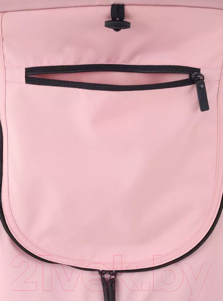 Изображение товара Детская прогулочная коляска Rant Shift Star / RA250 (Cloud Pink)