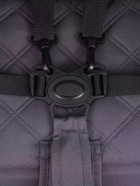 Изображение товара Детская прогулочная коляска Rant Shift Star / RA250 (Cloud Pink)