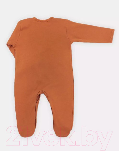 Изображение товара Комбинезон для малышей Rant Hugs And Kisses / 1172/1-74 (Curry Brown, р.74)