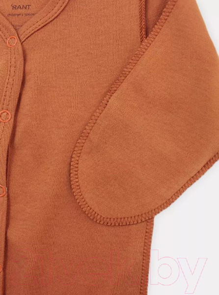 Изображение товара Боди для малышей Rant Hugs And Kisses / 6772/1-62 (Curry Brown, р.62)