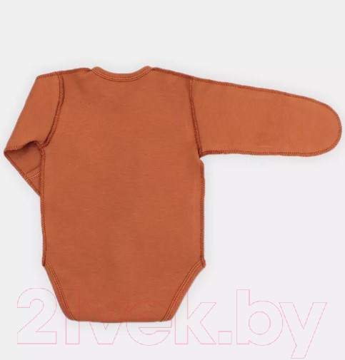 Изображение товара Боди для малышей Rant Hugs And Kisses / 6772/1-62 (Curry Brown, р.62)