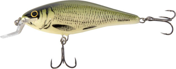 Изображение товара Воблер Salmo Executor EX-070-SR-OB / QEX099