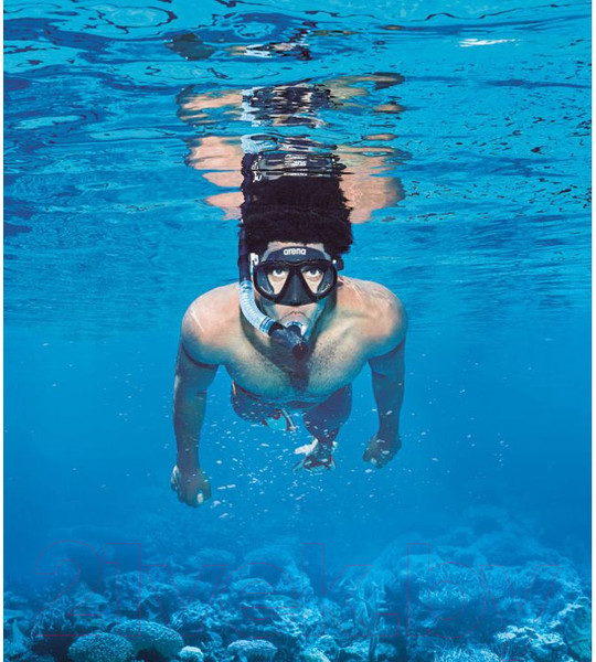 Изображение товара Набор для плавания ARENA Premium Snorkeling Set / 002018 505