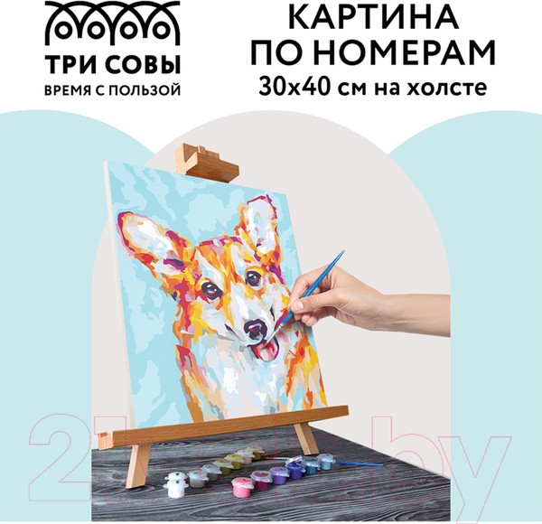 Изображение товара Картина по номерам Три совы Корги / КХ_44101