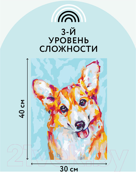 Изображение товара Картина по номерам Три совы Корги / КХ_44101