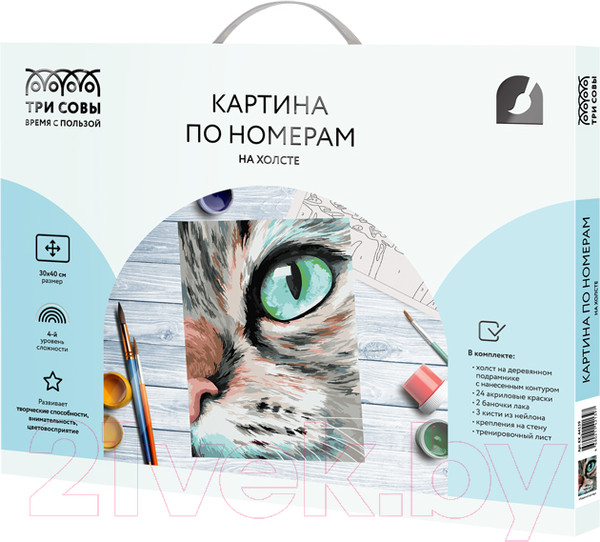 Изображение товара Картина по номерам Три совы Кошачий взгляд / КХ_44139