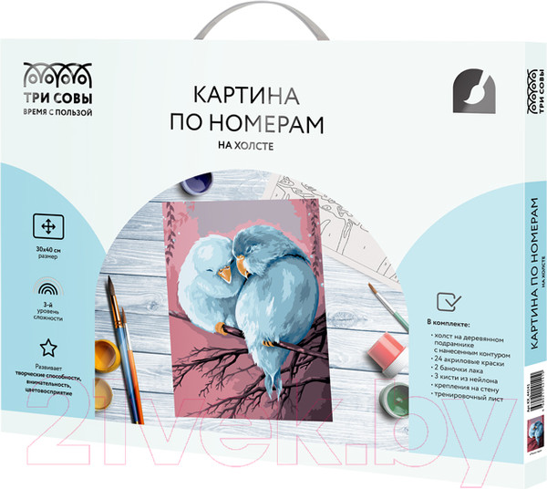Изображение товара Картина по номерам Три совы Милая пара / КХ_44141