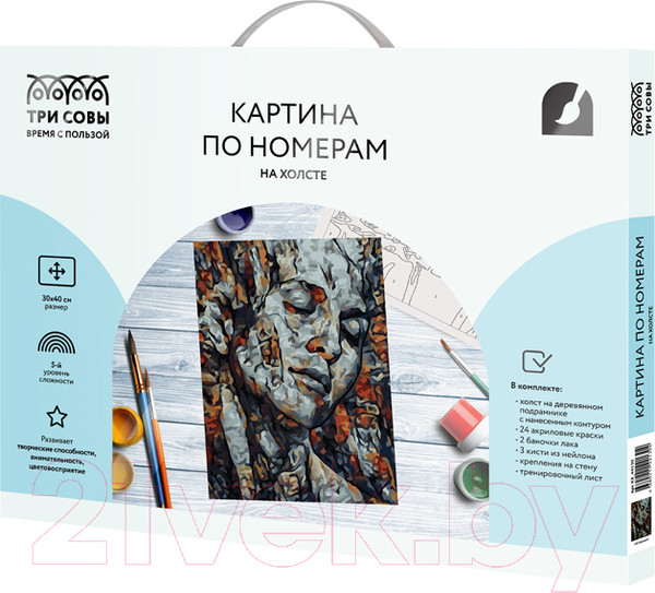 Изображение товара Картина по номерам Три совы Абстракция / КХ_44130