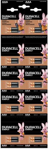 Изображение товара Комплект батареек Duracell AAA HBDC (2x10шт)
