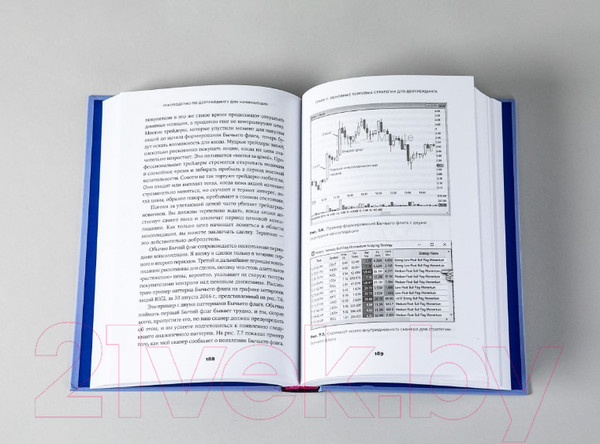 Изображение товара Книга Альпина Руководство по дейтрейдингу для начинающих (Азиз Э)