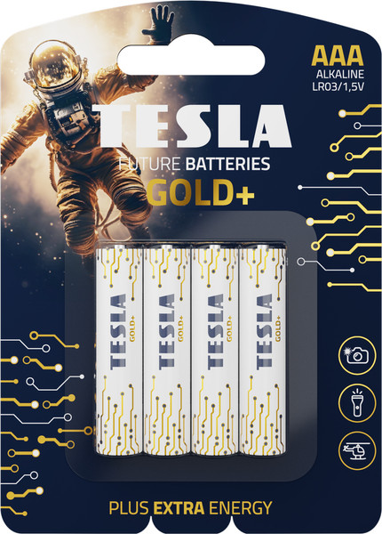 Изображение товара Комплект батареек Tesla Batteries Gold+ AAA LR03 1.5V / 1099137207 (4шт)