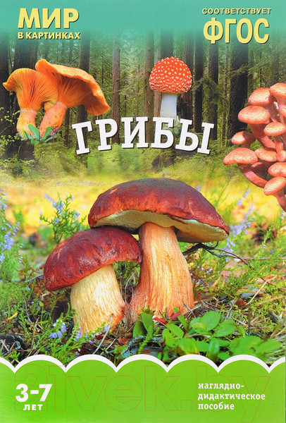 Изображение товара Наглядное пособие Мозаика-Синтез Мир в картинках. Грибы / МС10919