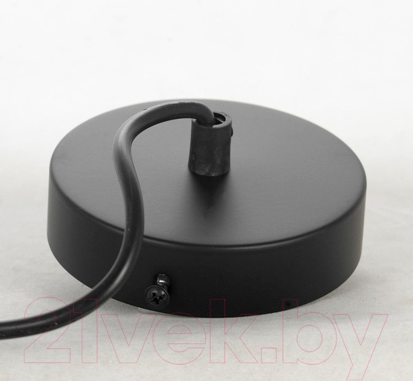 Изображение товара Потолочный светильник Lussole LSP-8569