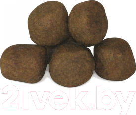 Изображение товара Сухой корм для собак Unica Classe для взрослых собак всех пород лосось (3кг)