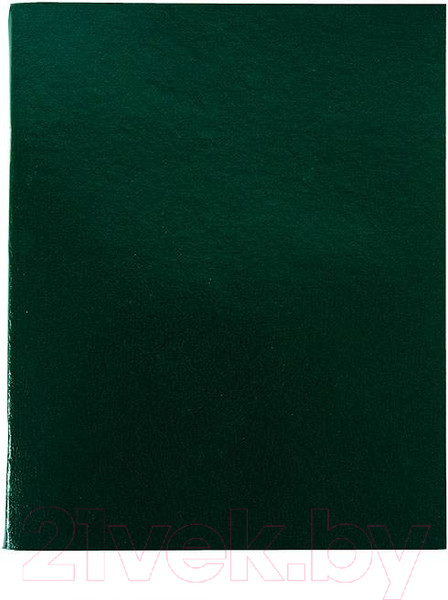 Изображение товара Тетрадь Lite №2 CBBVА4-96Gr (96л)