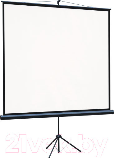 Изображение товара Проекционный экран Lumien Eco View 160x160 / LEV-100105