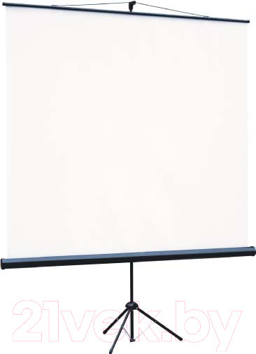 Изображение товара Проекционный экран Lumien Eco View 160x160 / LEV-100105