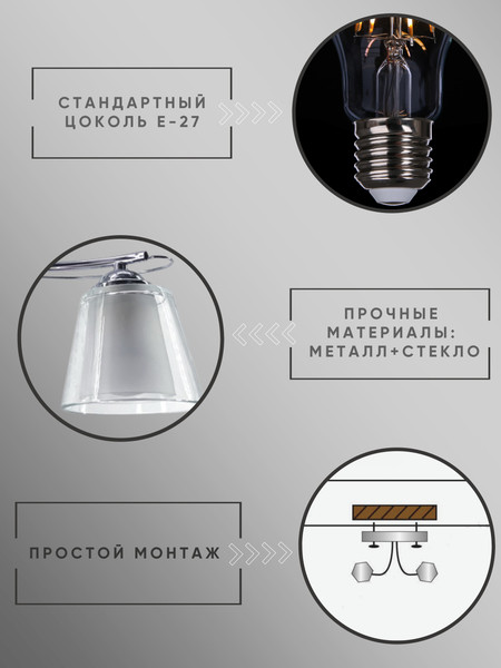 Изображение товара Потолочный светильник Aitin-Pro НПБ 02-2x60-101 / XA1248/2 (хром)