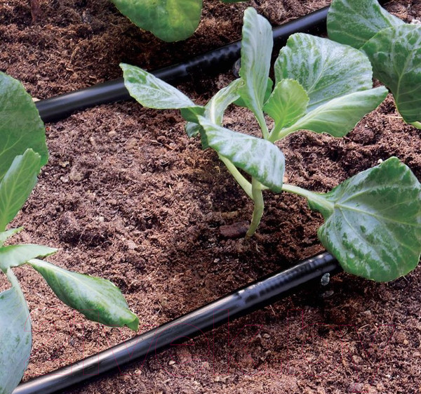 Изображение товара Шланг сочащийся Claber 1/4" / 90353 (15м)