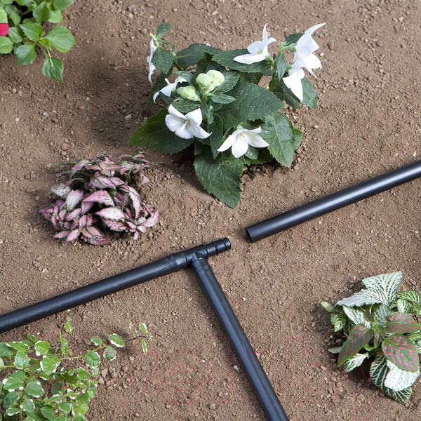 Изображение товара Шланг поливочный Claber 1/2" / 90366 (50м)