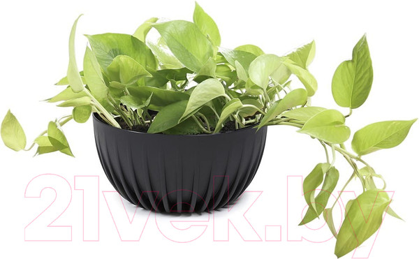 Изображение товара Вазон Lamela Mira Eco / LA917-04 (черный)