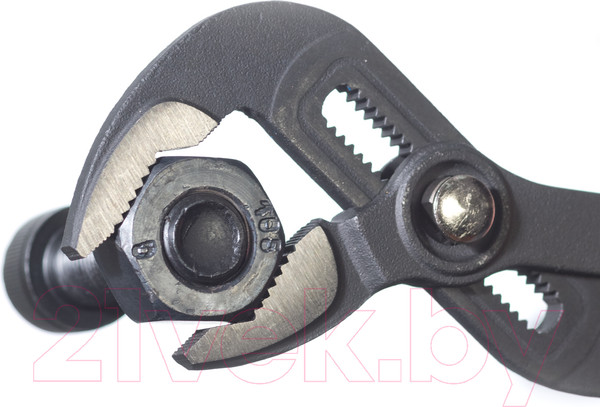 Изображение товара Клещи переставные КВТ Практик 85283