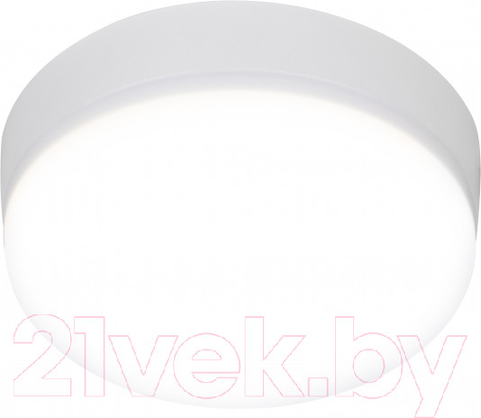 Изображение товара Потолочный светильник ЭРА LED 15-18-4K / Б0054332