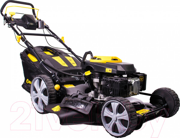 Изображение товара Газонокосилка бензиновая Champion LM5346E