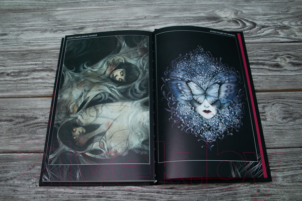 Изображение товара Комикс АСТ Спящие красавицы. Том 1 (Кинг С., Кинг О.)