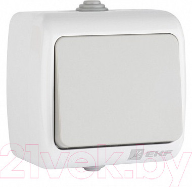 Изображение товара Выключатель EKF Мурманск 1кл 10А IP54 / EFV10-021-30-54 (серый)