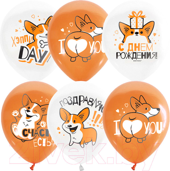 Изображение товара Набор воздушных шаров ПатиБум White&Orange. Корги. С днем рождения М12/30см / 4690296072292 (25шт)