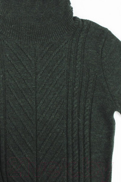 Изображение товара Джемпер Polesie 9С8545-Д43 (р.170,176-88, бутылочно-зеленый)