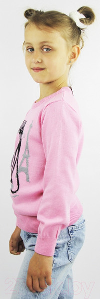 Изображение товара Джемпер для малышей Polesie 9С0368-Д43 (р.98,104-56, конфетный)