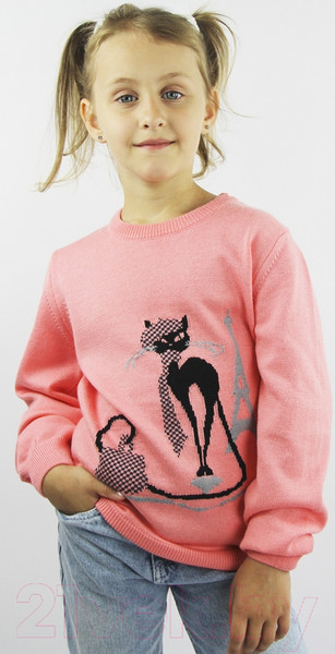 Изображение товара Джемпер для малышей Polesie 9С0368-Д43 (р.98, 104-56, нежная роза)