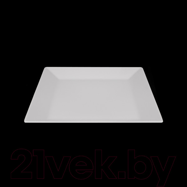 Изображение товара Тарелка столовая обеденная LY’S Horeca 392716000 / фк5093