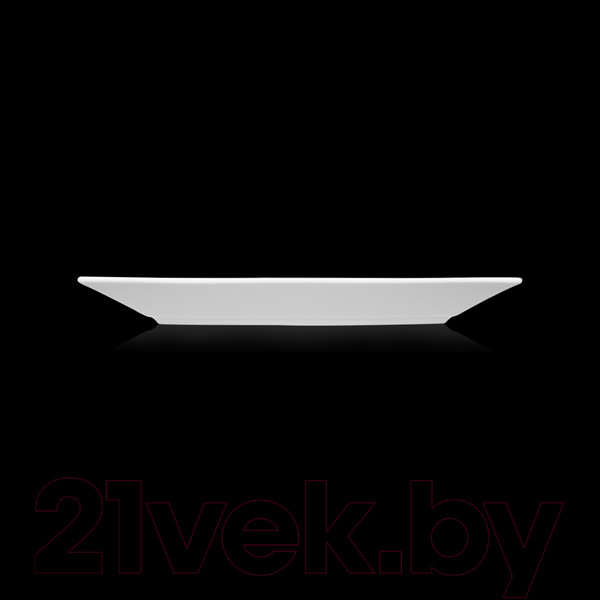 Изображение товара Тарелка столовая обеденная LY’S Horeca 392716000 / фк5093