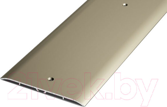 Изображение товара Порог Best Profile А100 РЕ 0.9 0.4л (бронза)