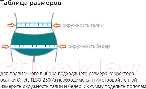 Изображение товара Корректор осанки Orlett TLSO-250(A) (S1)