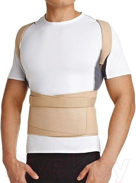 Изображение товара Корректор осанки Orlett TLSO-250(A) (S1)