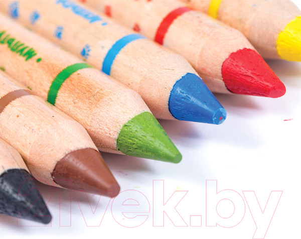 Изображение товара Набор акварельных карандашей Мульти-пульти Приключения Енота / CP_16833 (6 цветов)