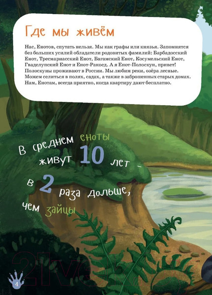 Изображение товара Энциклопедия Альпина Я енот (Тимофеевский А.)