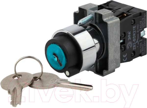 Изображение товара Переключатель ЭРА BSW80-BG-2-K02E LAY5-BG45 / Б0045688