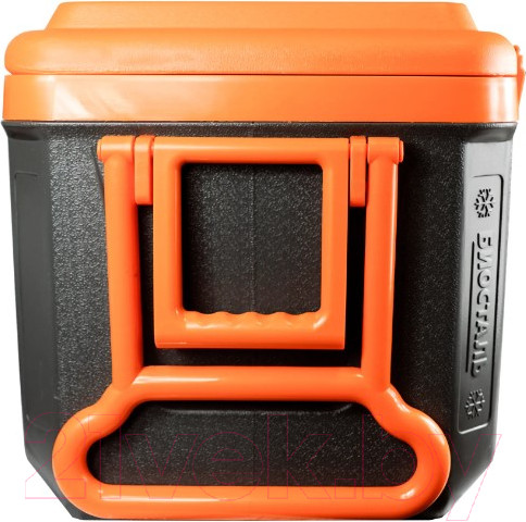 Изображение товара Термоконтейнер Биосталь CB-45G-К