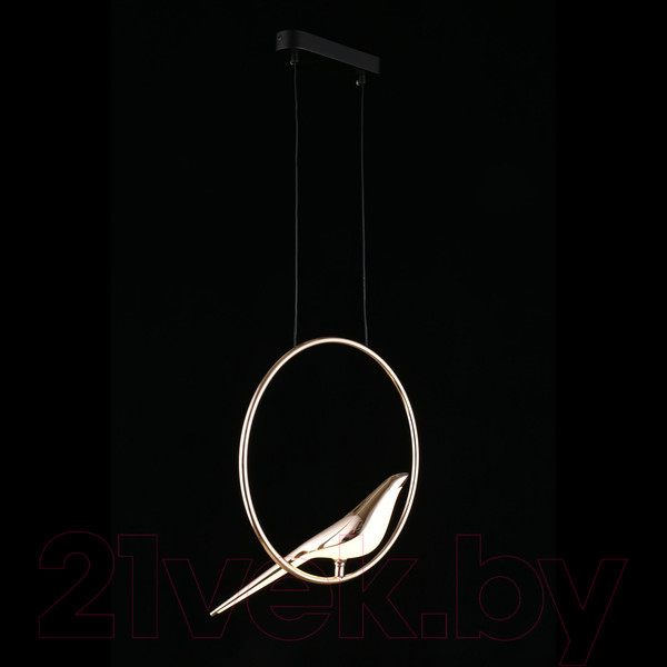 Изображение товара Потолочный светильник Aployt Astor APL.822.06.10