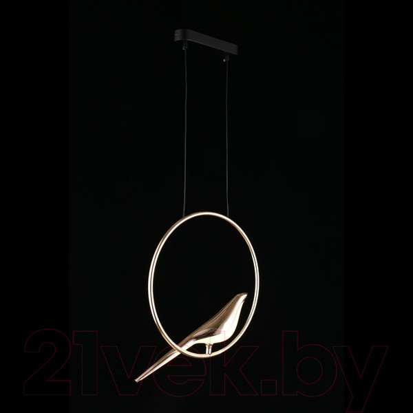 Изображение товара Потолочный светильник Aployt Astor APL.822.06.10