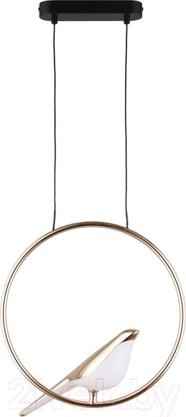 Изображение товара Потолочный светильник Aployt Astor APL.822.06.10