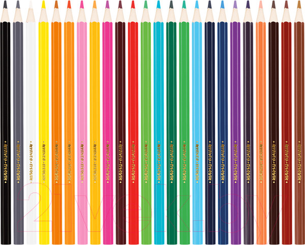 Изображение товара Набор цветных карандашей Мульти-пульти Енот в Индии / CP_10750 (24 цвета)