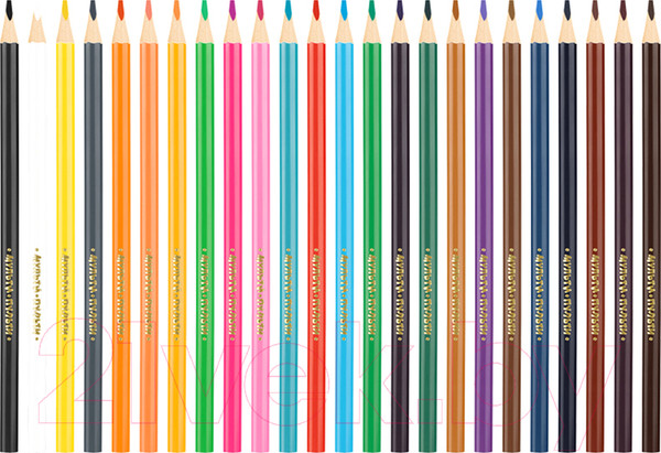 Изображение товара Набор цветных карандашей Мульти-пульти Енот в Испании / CP_10758 (24 цвета)