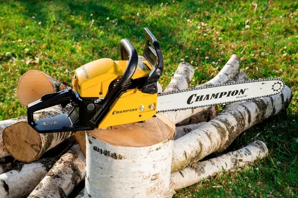 Изображение товара Бензопила цепная Champion 251-18